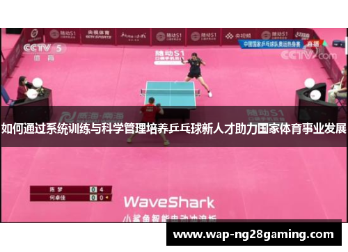如何通过系统训练与科学管理培养乒乓球新人才助力国家体育事业发展