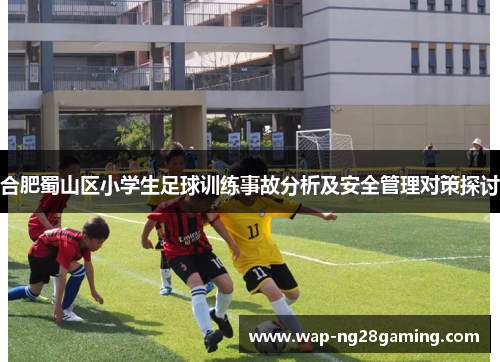合肥蜀山区小学生足球训练事故分析及安全管理对策探讨