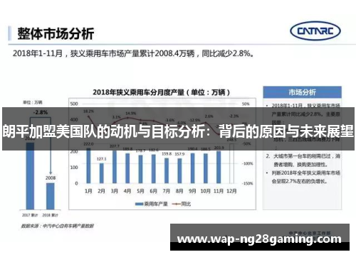 朗平加盟美国队的动机与目标分析：背后的原因与未来展望