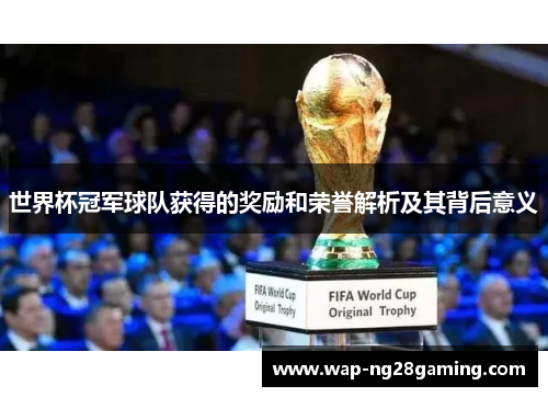 世界杯冠军球队获得的奖励和荣誉解析及其背后意义