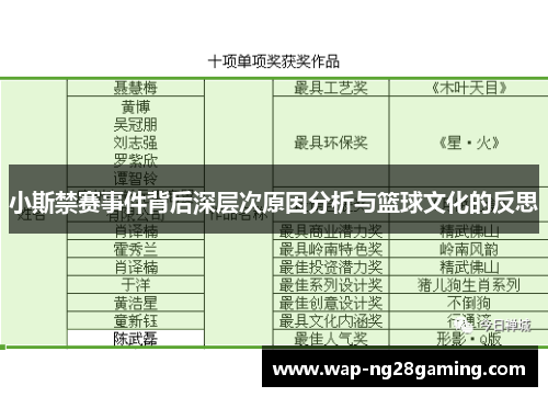小斯禁赛事件背后深层次原因分析与篮球文化的反思