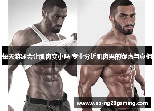 每天游泳会让肌肉变小吗 专业分析肌肉男的疑虑与真相