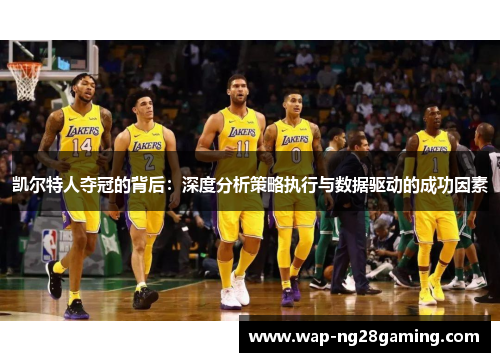 凯尔特人夺冠的背后：深度分析策略执行与数据驱动的成功因素
