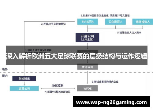 深入解析欧洲五大足球联赛的层级结构与运作逻辑