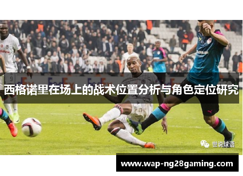 西格诺里在场上的战术位置分析与角色定位研究