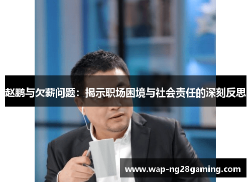 赵鹏与欠薪问题：揭示职场困境与社会责任的深刻反思