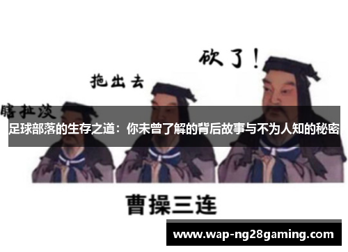 足球部落的生存之道:你未曾了解的背后故事与不为人知的秘密 足球部落的生存之道:你未曾了解的背后故事与不为人知的秘密
