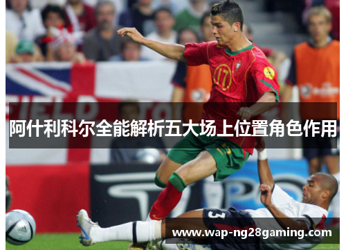 阿什利科尔全能解析五大场上位置角色作用