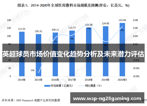 英超球员市场价值变化趋势分析及未来潜力评估
