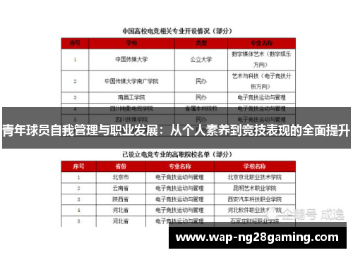 青年球员自我管理与职业发展:从个人素养到竞技表现的全面提升 青年球员自我管理与职业发展:从个人素养到竞技表现的全面提升