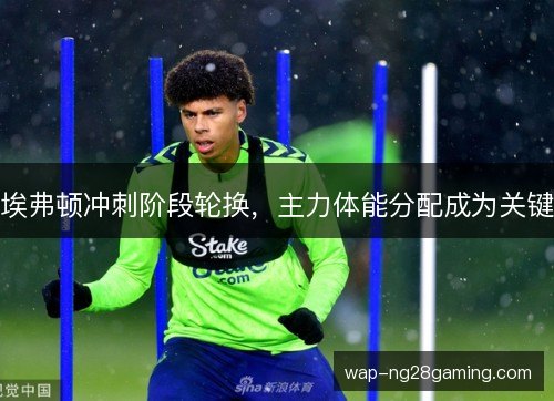 埃弗顿冲刺阶段轮换，主力体能分配成为关键